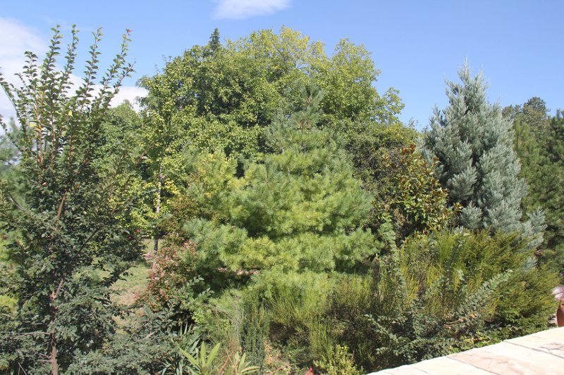 H-Sz- 022.JPG